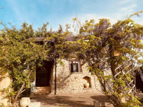 VIGNA VECCHIA